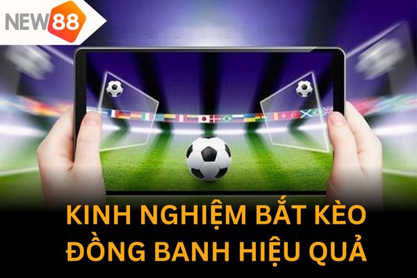 Kinh nghiệm bắt kèo đồng banh không thể bỏ qua