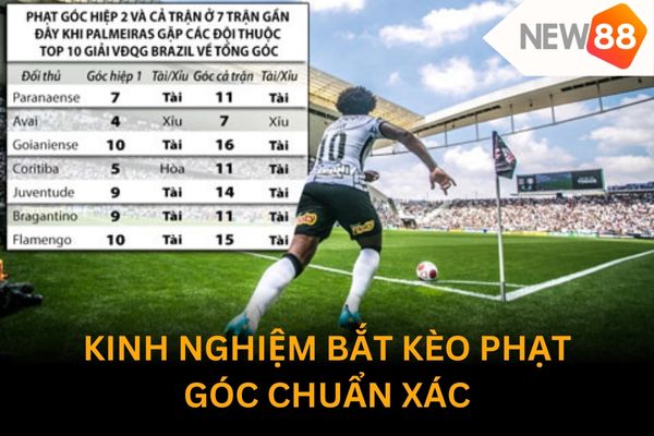Bí quyết và cách xem kết quả phạt góc chuẩn xác